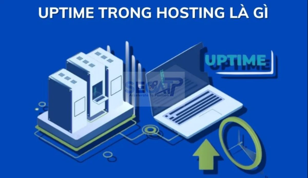 Hosting & VPS - Server - Hình ảnh 8