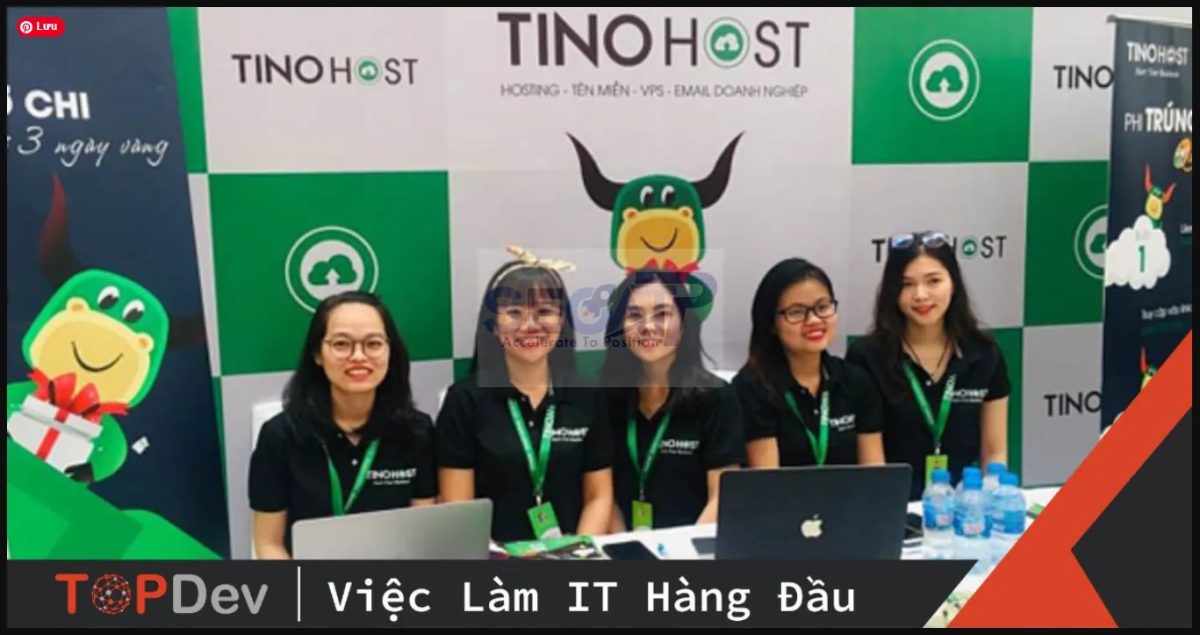 Web Hosting Là Gì? Chi Tiết Về Hosting Web Tại Tino, Cách Hoạt Động Và Cách Chọn Dịch Vụ Phù Hợp