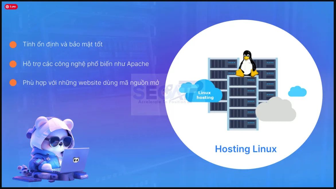 Hosting Là Gì? Hướng Dẫn Toàn Diện A-Z Cho Người Mới Hosting Là Gì? Hướng Dẫn Toàn Diện A-Z Cho Người Mới