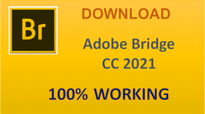 Download Adobe Bridge CC 2021 Full