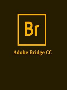 Download Adobe Bridge CC 2018 Full