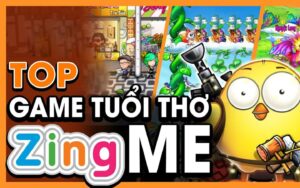 Zing Me: Khám Phá Nền Tảng Giải Trí Đỉnh Cao Tại Việt Nam